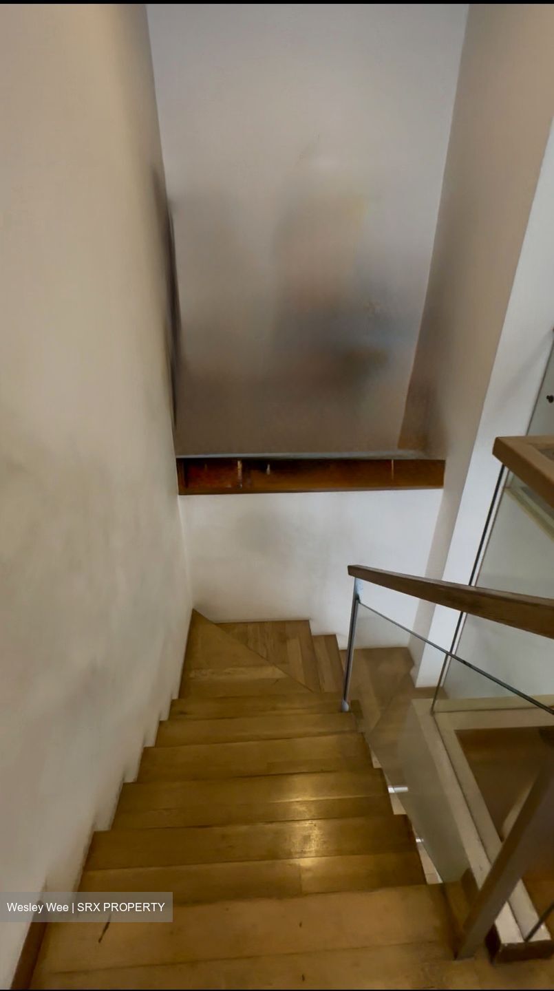 D' Chateau @ Shelford (D11), Apartment #491759931